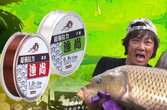 基本的釣魚用品包括哪些？