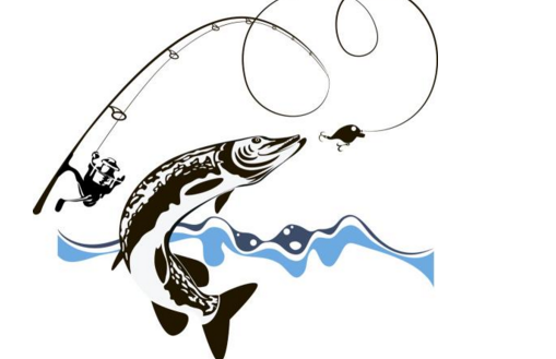 南北終端魚(yú)餌有哪些優(yōu)勢(shì)呢